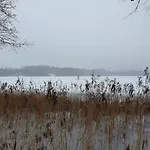 Bujanie W Sitowiu Wyszowate