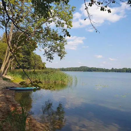 Bujanie W Sitowiu Wyszowate