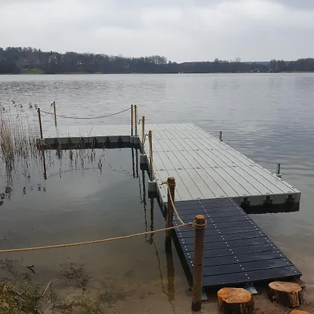 Bujanie W Sitowiu * Wyszowate