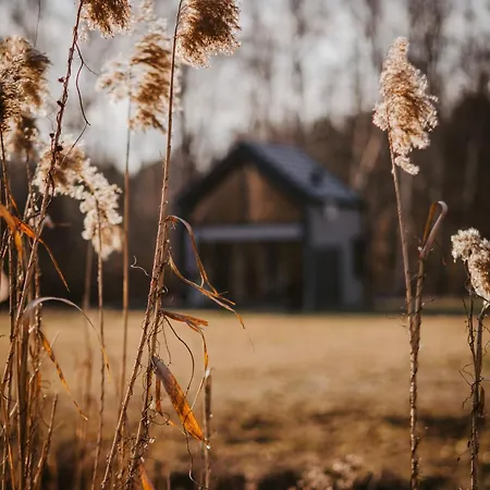 Bujanie W Sitowiu * Wyszowate