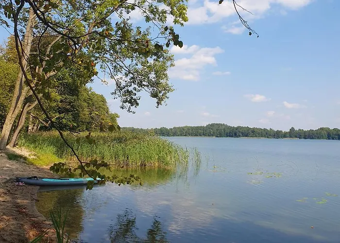 Bujanie W Sitowiu Wyszowate