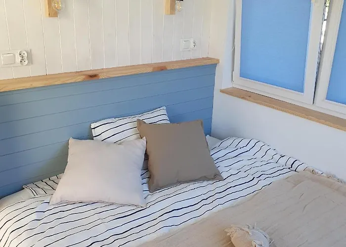 Bujanie W Sitowiu * Wyszowate