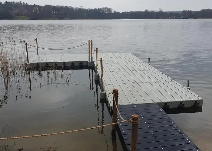 Bujanie W Sitowiu * Wyszowate