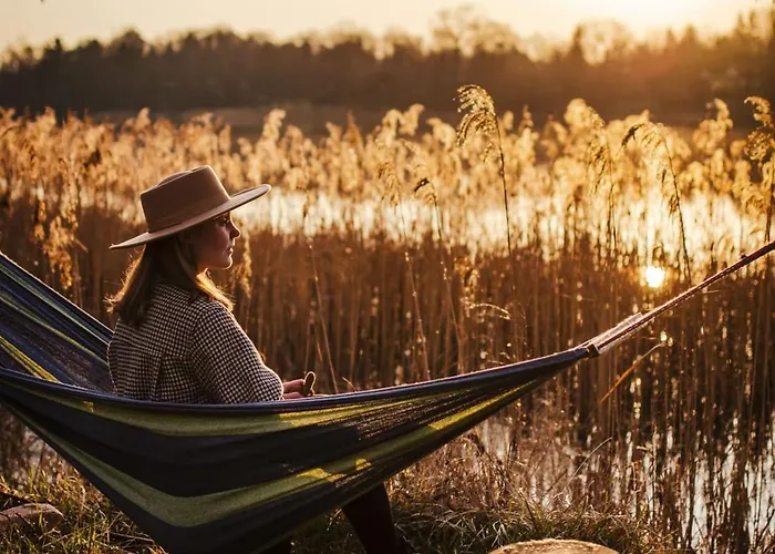 Bujanie W Sitowiu Wyszowate