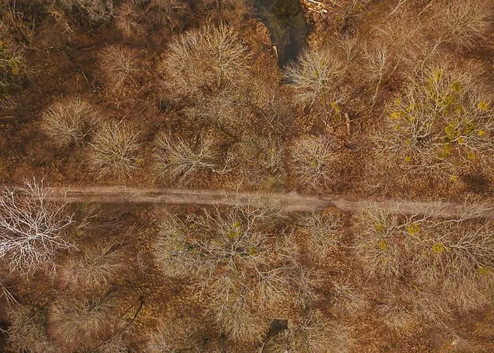 Bujanie W Sitowiu Dom wakacyjny