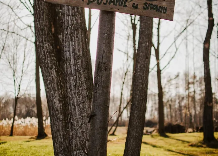 Dom wakacyjny Bujanie W Sitowiu *