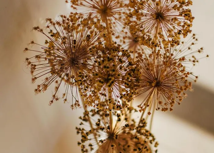 Dom wakacyjny Bujanie W Sitowiu