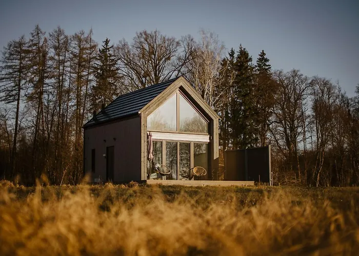 Bujanie W Sitowiu Wyszowate